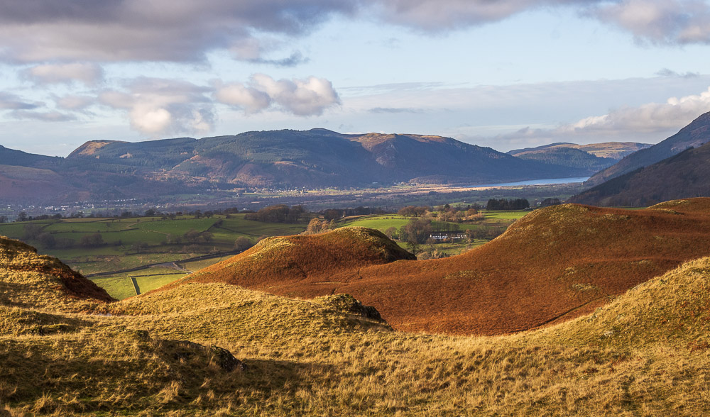 Whinlatter Whinlatter